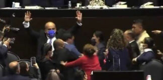 Legisladores se agarran a golpes en la Cámara de Diputados