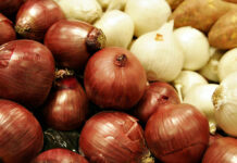 EU alerta de brote de salmonelosis