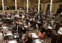 Claudette Hannan y Harumi Carranza, nuevas comisionadas del ITAIPUE