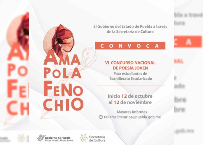 convocatoria-Amapola