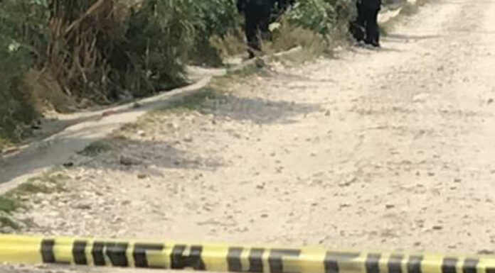 Cráneo humano aparece en col. Bosques de Amalucan