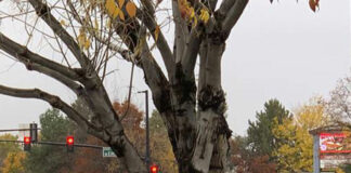 Tiroteo en centro comercial de Idaho deja 2 muertos