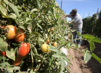 Inflación, causa del paro de 7 días en industria de alimentos