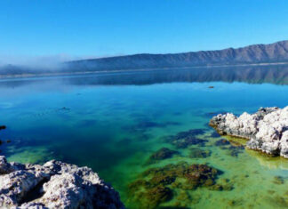 Conagua denuncia en FGR daños a laguna de Alchichica