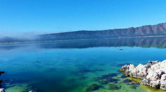 Conagua denuncia en FGR daños a laguna de Alchichica