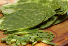 Luz, nopales y cebolla, lo más caro en primera quincena de octubre