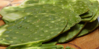 Luz, nopales y cebolla, lo más caro en primera quincena de octubre