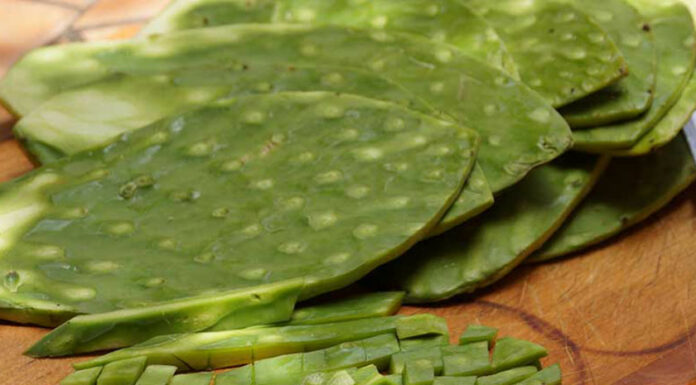 Luz, nopales y cebolla, lo más caro en primera quincena de octubre