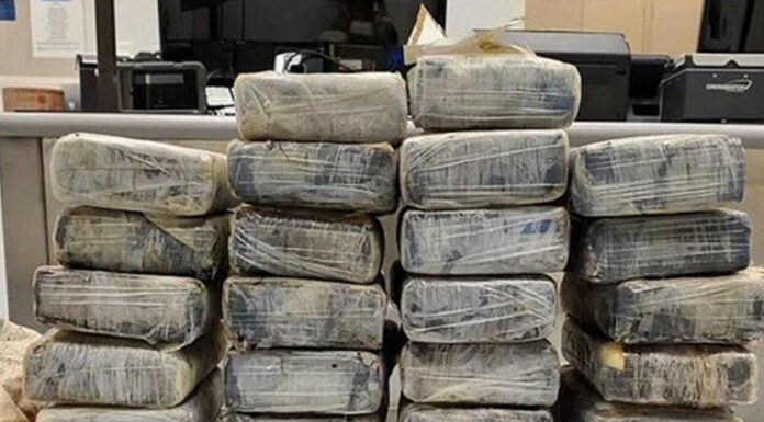 Patrulla fronteriza encuentra 36 kilos de cocaína flotando en mar de Florida