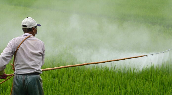 Emite FDA 312 alertas por trasiego de plaguicidas ilegales en Puebla