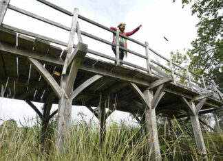 ¿Te animarías? Subastarán puente de “Winnie Pooh”