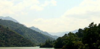 Intenta salvar a su perrito pero muere ahogado en río de Tlapanalá