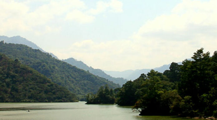 Intenta salvar a su perrito pero muere ahogado en río de Tlapanalá