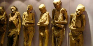 Piden eliminar la palabra “momia” por ofensiva