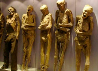 Acusan a alcalde por daño a Momias de Guanajuato