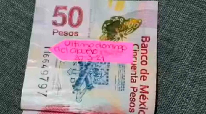 “Último domingo del abuelo”: Internet busca al dueño del billete