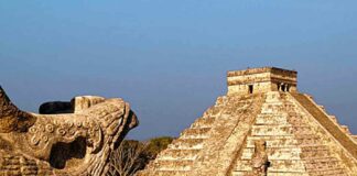 Captan a perrito en la cima de Chichen Itzá; video se vuelve viral