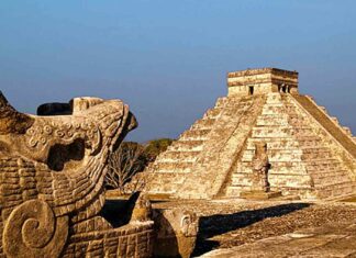 Captan a perrito en la cima de Chichen Itzá; video se vuelve viral