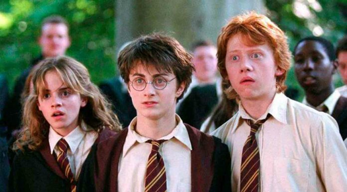 Elenco original de Harry Potter tendrá reencuentro