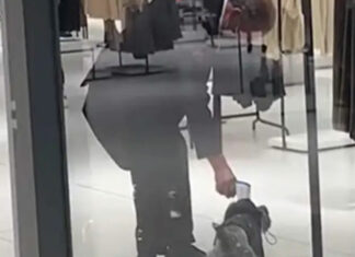 Perrito entrar a tienda y vigilante le toma la temperatura