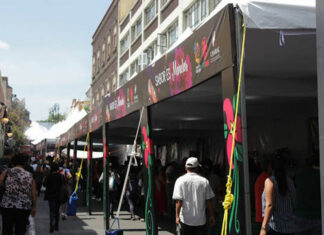 Participará Puebla en el 10° Festival Sabor es Morelos