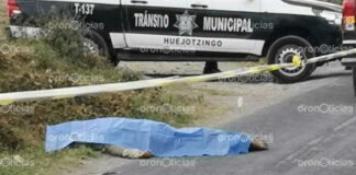 Hombre muere atropellado sobre carretera a Xalmimilulco