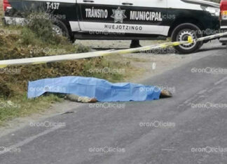 Hombre muere atropellado sobre carretera a Xalmimilulco