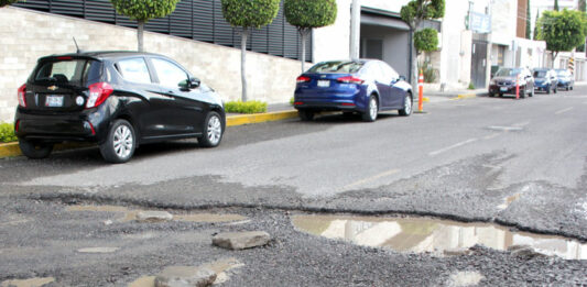 bache