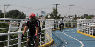 Retiro de ciclovías y bolardos, desperdicio de dinero: Consejo de Movilidad