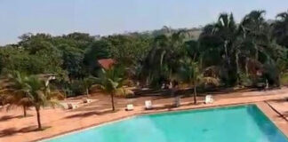 VIDEO: Buey escapa de matadero para ‘aventarse’ de tobogán de alberca buey