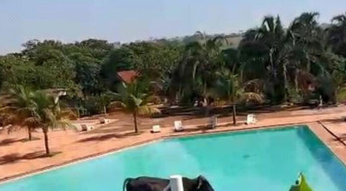 VIDEO: Buey escapa de matadero para ‘aventarse’ de tobogán de alberca buey