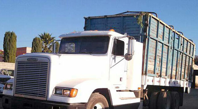 Transportistas piden analizar proyecto de sensores en camiones pesados camión