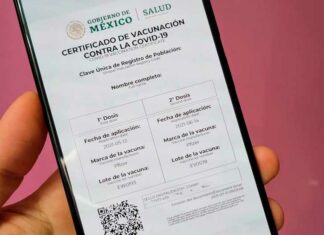 Certificado de vacunación Covid podría ser requisito para contrataciones: Canacintra certificado-vacuna-covid
