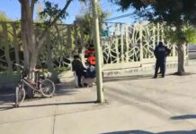 Atropellan a ciclista en inmediaciones del Parque Paseo de Gigantes ciclista