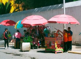 Ambulantes aprovechan Día de Muertos para quedarse en Tehuacán comerciantes-abulantes-tehuacan