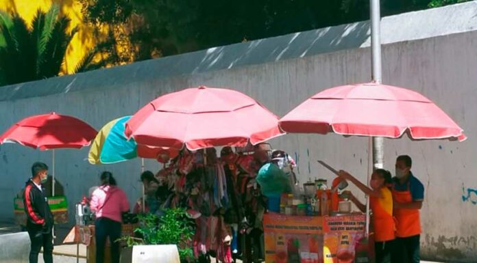 Ambulantes aprovechan Día de Muertos para quedarse en Tehuacán comerciantes-abulantes-tehuacan