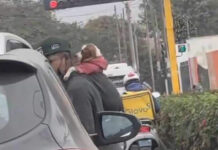 Joven se hace viral por trabajar cargando en la espalda a su perrito