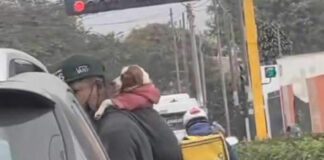 Joven se hace viral por trabajar cargando en la espalda a su perrito