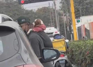 Joven se hace viral por trabajar cargando en la espalda a su perrito