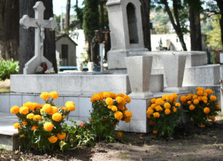 ¿Qué enfermedades provocaron la muerte de poblanos en 2020? muertes