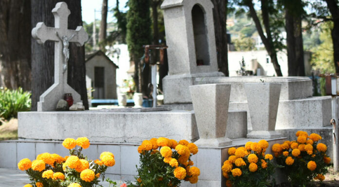 ¿Qué enfermedades provocaron la muerte de poblanos en 2020? muertes