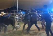 Muere “El Niño de Oro” durante un espectáculo taurino en Atlixco niño-oro-accidente-atlixco