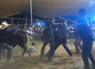 Muere “El Niño de Oro” durante un espectáculo taurino en Atlixco niño-oro-accidente-atlixco