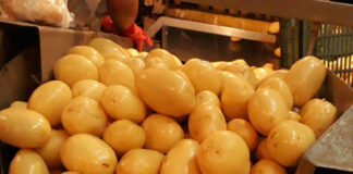 Comerciantes donan papa a afectados por explosión en Xochimehuacan papa