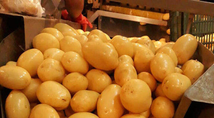 Comerciantes donan papa a afectados por explosión en Xochimehuacan papa