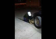 VIDEO: Hombre lanza a perrito en barranca en San Jerónimo Caleras perro