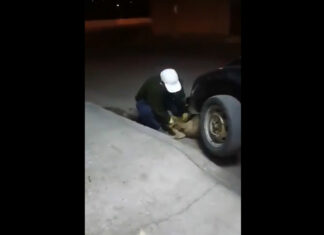 VIDEO: Hombre lanza a perrito en barranca en San Jerónimo Caleras perro