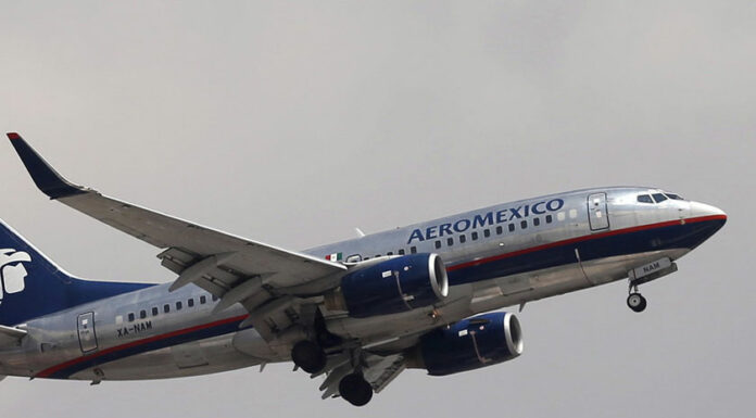 Piloto entona una canción de cuna para distraer a pasajeros piloto