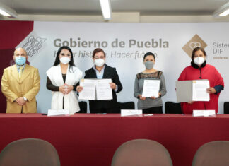 Alumnos de 13 universidades podrán realizar servicio y prácticas en SEDIF