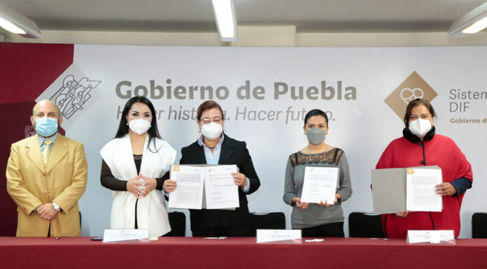 Alumnos de 13 universidades podrán realizar servicio y prácticas en SEDIF
